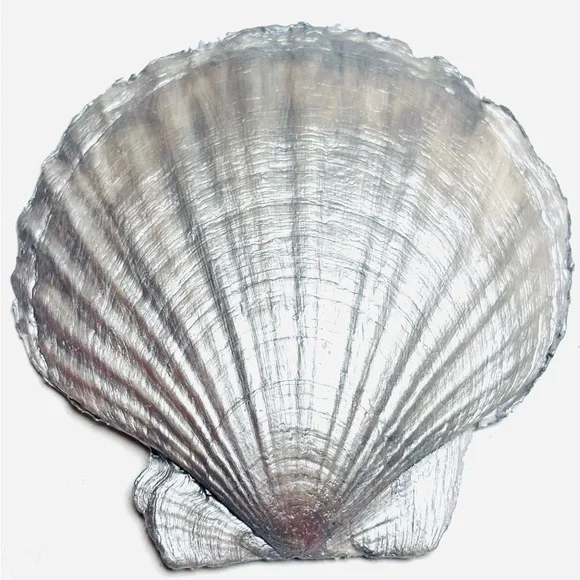 Handcrafted Scallop Shell Ring Dish Mini With Pandora Decoupage Design - Picture 5 of 5